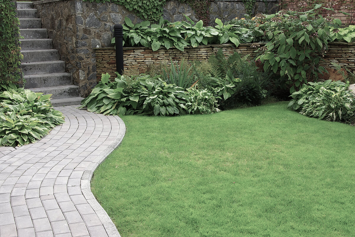 Welcome to JL Landscaping